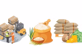 2024: Rice exports hit record highs in volume and value
