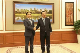 President of the Cambodian Senate and President of the Cambodian People's Party (CPP) Samdech Techo Hun Sen and Deputy Prime Minister Bui Thanh Son pose for a commemorative photo. (Photo: VNA)