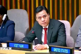 Ambassador Dang Hoang Giang, head of Vietnam's permanent mission to the United Nations (UN), delivers a speech at the meeting. (Photo: VNA)