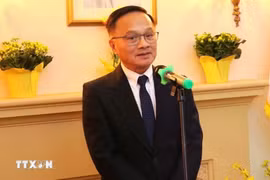 President of the Vietnam-Canada Business Association (VCBA) Eastern Chapter Chung Vinh. (Photo: VNA)