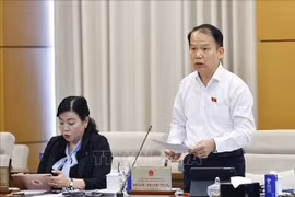 Hoang Thanh Tung, Chairman of the National Assembly’s Committee on Legal and Judicial Affairs, delivers remarks. (Photo: VNA)