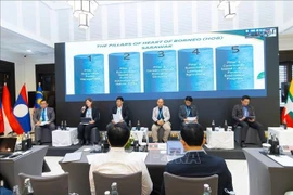 The 23rd international seminar of ASEAN senior officials on forestry (ASOF) in Luang Prabang on August 6, 2025. (Photo published by VNA)