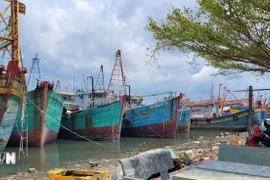 A number of trawlers in Long Hai commune, Ho Chi Minh City, are forced to stay idle after suffering losses. (Photo: VNA)