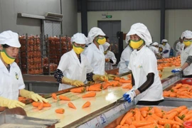 Fruit and vegetable exports are expected to reach the 8-billion-USD mark in 2025. (Photo: nhandan.vn)