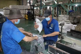 Workers of Phuoc Thanh II Co., Ltd. package rice for export. Photo: VNA)