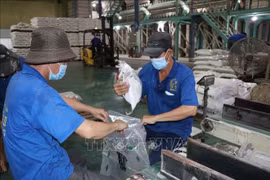 Workers of Phuoc Thanh II Co., Ltd. package rice for export. Photo: VNA)