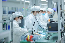 Vietnam implements a strategy to develop high-quality human resources for the semiconductor industry. (Photo: VNA)