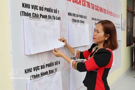 A Raglai resident in Bac Ai Tay commune, Khanh Hoa province, reviews the publicised voter list at the commune People’s Committee headquarters. (Photo: VNA)
