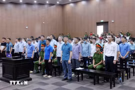 The defendants at the trial. (Photo: VNA)
