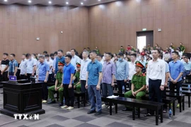 The defendants at the trial. (Photo: VNA)