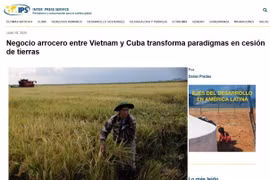 An article published by Cuba’s Inter Press Service (IPS) spotlights the promising results of a unique rice cooperation model with Vietnam, as Cuba ramps up efforts to improve national food security. (Photo: Screenshot)