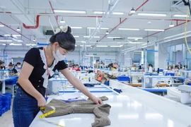 Production activities at Destination Garment Co., Ltd. (Photo: VNA)