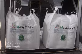 A shipment of Japonica rice certified as “Low-emission Green Vietnamese Rice” exported to Japan (Photo: VNA)