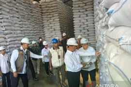 Agriculture Minister Andi Amran Sulaiman (second from the right) checked the Bulog's rental warehouse in the Romokalisari Warehouse Complex, Surabaya, East Java on May 13, 2026. (Photo: Antara)