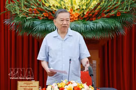 Party General Secretary and State President To Lam chairs a working session with the Party Central Committee’s Commission for Policies and Strategies and relevant agencies on a project to renew the country’s development model based on science, technology, innovation and digital transformation on June 4, 2026. (Photo: VNA)