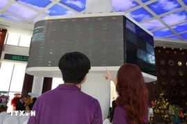 Investors monitor stock market movements at the HoSE trading floor. (Photo: VNA)