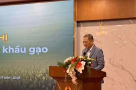 Nguyen Anh Son, Director General of the Agency of Foreign Trade under the Ministry of Industry and Trade, speaks at the conference. (Photo: Ministry of Industry and Trade)