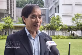 Professor Vu Minh Khuong from the Lee Kuan Yew School of Public Policy gives an interview to Vietnam News Agency correspondents in Singapore. (Photo: VNA)