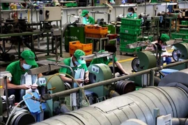 The Tan Thuan Export Processing Zone is connected to Tan Thuan Port, forming a manufacturing–export ecosystem for Ho Chi Minh City. (Photo: VNA)