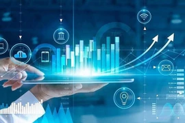 Private enterprises are urged to take part in building digital infrastructure. (Photo: VNA)