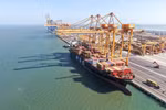 Vietnam’s agro-forestry-fishery exports surge nearly 13% in 10 months