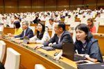 NA passes amended laws on corporate income tax, excise tax (Photo: VNA)