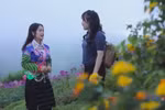 Dien Bien develops green tourism linked to cultural preservation