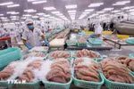 Fillet catfish for export (Photo: VNA)