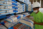 Cambodia ready to boost rice exports to the Philippines. (Photo: khmertimes)