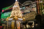 Hanoi’s Christmas trees light up festive season