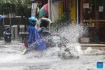 A street is flooded after heavy rains following Typhoon Wipha in Quezon, the Philippines (Photo: Xinhua/VNA)