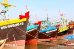 Lam Dong steps up oversight to curb IUU fishing