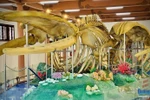 The two reconstructed whale skeletons at Lang Tan relic site on Ly Son island district (Photo: Quang Ngai newspaper)