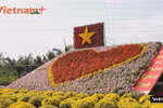 Sa Dec flower hub draws visitors ahead of Tet 2026 