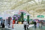 The exhibition area showcasing the “Vietnam National Brand” attracts great interest from visitors and locals alike. (Photo: VNA)