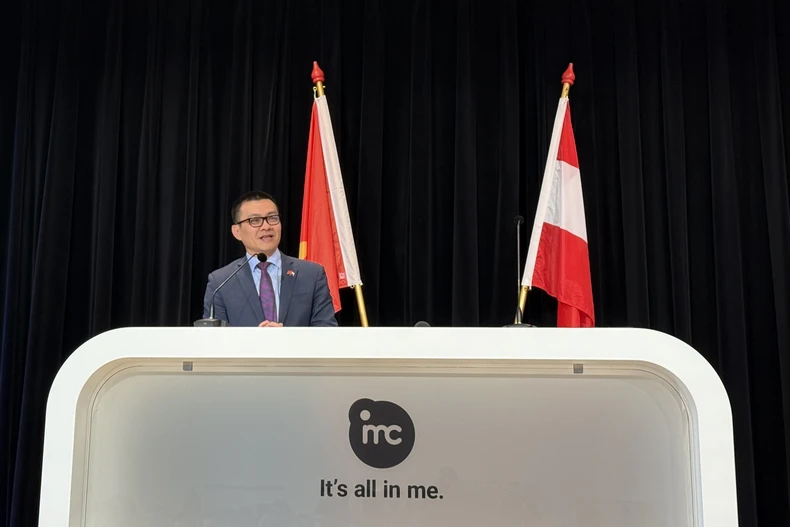 Vietnamese Ambassador to Austria Vu Le Thai Hoang speaks at the Vietnam-Austria forum on skilled labour and vocational training (Photo: VNA)