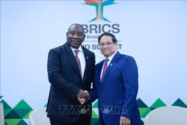 Prime Minister Pham Minh Chinh (R) shakes hands with South African President Cyril Ramaphosa at their meeting in Rio de Janeiro, Brazil, on July 6. (Photo: VNA)