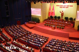 View of the opening session of the 14th National Party Congress. (Photo: VNA)