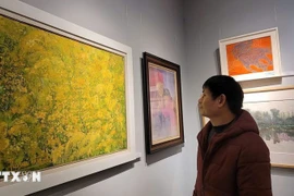 A visitor to the exhibition (Photo: VNA)