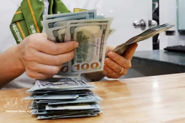 The daily reference exchange rate is set at 25,059 VND/USD on March 9. (Photo: VNA) 