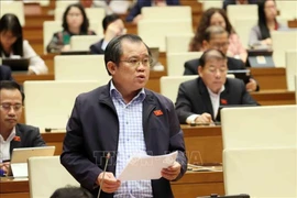 Deputy Nguyen Tam Hung of Ho Chi Minh City speaks at the 15th National Assembly's ongoing 10th session on December 1. (Photo: VNA)