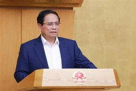 Prime Minister Pham Minh Chinh addresses the meeting on May 22. (Photo: VNA)