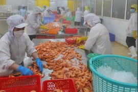 HSBC experts say Vietnam’s economy is growing fastest in ASEAN. (Photo: VietnamPlus)