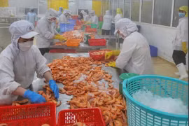 HSBC experts say Vietnam’s economy is growing fastest in ASEAN. (Photo: VietnamPlus)