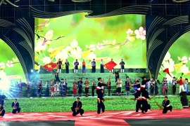 A performance at the Vietnam – China cultural exchange night held as part of the Lai Chau tourism and culture week 2024. (Photo: VNA)