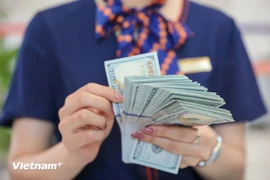 The daily reference exchange rate is set at 25,091 VND/USD on October 29. (Photo: VNA)