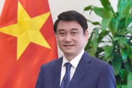 Deputy Foreign Minister Le Anh Tuan (Photo: VNA)