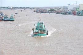 Fishing boats at the Doc River estuary, Ca Mau province. (Photo: VNA)