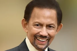 Sultan Haji Hassanal Bolkiah of Brunei (Photo: Published by VNA)