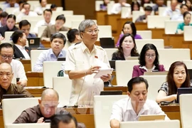 Lawmakers at the NA's plenary sitting on May 16 morning. (Photo: VNA)